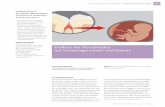 Einfluss der Parodontitis auf Schwangerschaft und Geburt · 2019-07-04 · Bild oben: Die etablierte Parodontitis hat einen Einfluss auf das werdende Kind. SCHLÜSSELWÖRTER Parodontitis,