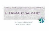 4 ANIMALES SALVAJES - soyvisual.org€¦ · 16 cebra gorila leÓn hipopÓtamo cocodrilo elefante a o do serpiente tigre flamenco. title: 4 animales salvajes created date: 10/13/2019