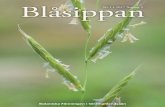 Blåsippan · 2018-08-24 · 4 Blåsippan nr 1, 2017 Jätteloka Heracleum mantegazzianum kom till Sverige på 1800-talet, då den började odlas i trädgårdar och parker. Det visade
