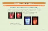 Color Gallery - Chemistry2 aq にCl 2 を吹き込み発光させる （添加物を加えた時の発光） 左：ルミノール添加時 右：イソビオラントロン添加時