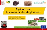 Agricoltura: la seconda vita degli scarti - Bologna€¦ · la seconda vita degli scarti Annamaria Celli Università di Bologna . Il mondo in cui viviamo Abbiamo a disposizione beni,