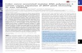 Colon cancer-associated mutator DNA polymerase δ variant ... · Colon cancer-associated mutator DNA polymerase δ variant causes expansion of dNTP pools increasing its own infidelity