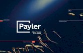payler4Возможна кастомизация формы под дизайн вашего сайта. Платежная форма ЛИЧНЫЙ КАБИНЕТ Личный кабинет
