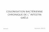 COLONISATION)BACTÉRIENNE) CHRONIQUE)DE)L INTESTIN) …hepatoweb.com/DES/exposes/DES11_2012_COFFIN/BECQ.pdf · estomac:))