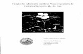 Função dos Alcalóides Indóiicos Monoterpenóides derepositorio-aberto.up.pt/bitstream/10216/9949/3/3950_TM_01_P.pdf · 3.1. Determinação da concentração de vindolina, catarantina