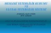 Mesleki Yeterlilik Kurumuna İlişkin Genel Bilgiler Türkiye ... · Sunum Plan ı Ulusal Yeterlilik ... Avcılık ve Balıkçılık Bilişim Teknolojileri İş ve Yönetim Tekstil,