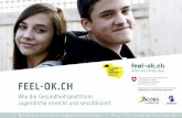 FEEL-OK · FEEL-OK.CH Wie die Gesundheitsplattform Jugendliche erreicht und sensibilisiert 2. Nationales Fachforum Jugendmedienschutz – 7. März 2013 - Zentrum Paul Klee Bern