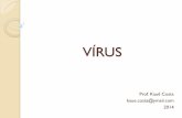 VÍRUS - Colégio Amorimcolegioamorim.com.br/tatuape/files/aulas2014/biologia/... · 2019-08-02 · O primeiro vírus O primeiro vírus descoberto foi o TMV (tobacco mosaic virus),