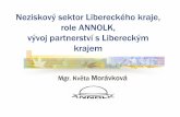 Neziskový sektor Libereckého kraje, role ANNOLK, vývoj … · 2010-10-04 · Chybí systematická analýza NS LK Dotazníkové šet ření dat od NNO - únor, resp. červen 2010