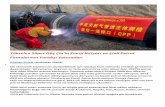 Yükselen Süper Güç Çin’in Enerji İhtiyacı ve Çinli Petrol ... · Yükselen Süper Güç Çin’in Enerji İhtiyacı ve Çinli Petrol Firmalarının Yurtdışı Yatırımları