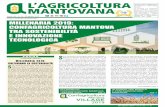 MILLENARIA 2019: CONFAGRICOLTURA MANTOVA TRA SOSTENIBILITÀ E INNOVAZIONE … 16 - 26... · 2019-08-22 · Assessore all’Agricoltura, Alimentazione e Sistemi Verdi di Regione Lombardia.