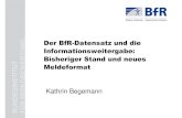 Der BfR-Datensatz und die Informationsweitergabe: …...Kathrin Begemann, 29.10.2010, 1. Nutzerkonferenz-Produktmeldungen Seite 4 Meldung von Rezepturen an das BfR Produkt-Datensätze