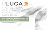 ÍNDICEcctrabajo.uca.es/wp-content/uploads/2017/10/Plan-Director... · 2017-10-25 · A1 Escaso número de profesores adscritos en relación con los encargos docentes asignados. Escaso