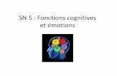 SN 5 : Fonctions cognitives et émotionsbhpicard.free.fr/Files/sn_5_fonctions_cognitives.pdf · o dans le rêve, o dans la résolution de problèmes (comme le calcul mental), ...