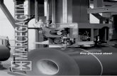 Productos planos prelacados bobinas - Marcegaglia€¦ · de bobinas y chapas prelacadas. Marcegaglia 73. 74 Marcegaglia. Marcegaglia 75. Standard painting systems Principales sistemas