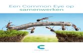 Een Common Eye op samenwerken · Samenwerken is dus nodig, maar zeker niet altijd vanzelfsprekend. Een Common Eye op samenwerken Er zijn al veel pogingen gedaan om samen ... dat belangen