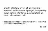 Growth inhibitory effect of an injectable hyaluronic …kurume-urol.com/img/hospital/pdf03.pdfAnti-tumor effect of Sorafenib (Nexavar®) Phase II trial showing the combination of Sorafenib