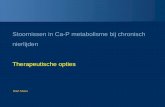 Stoornissen in Ca-P metabolisme bij chronisch nierlijden ...€¦ · rebound na beëindigen van dialyse • betere resultaten 1. opdrijven van dialyse-frekwentie 2. verlengen van