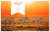 AREA DE CONSERVACION Tanzania NGORONGORO 7 days …safaribikeafrica.com/rutas/SBA_Hakuna_Matata_1w_2017_EN.pdf · 2017-06-12 · de los leones llenan la noche, todo ello en un contexto