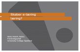 Skaber e-læring læring? · 2016-06-22 · Læringsressourcen består af videoer med korte underviseroplæg, tekster, øvelser, test, interaktive øvelser, gruppediskussioner og