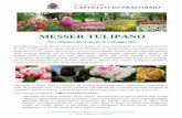 MESSER TULIPANO · Messer Tulipano, gentiluomo olandese d’altri tempi, sempre disponibile ad indossare un grembiule da giardiniere, appassionato botanico che compare ogni primavera
