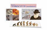 วิวัฒนาการ (evolution)elsd.ssru.ac.th/pawinee_ra/pluginfile.php/141/course... · 2019-05-05 · วิวัฒนาการ ... ถูกคัดเลือกมาเพือลักษณะพิเศษบางอย่างทีมนุษย์