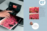 Stampanti e Multifunzione inkjet - Fotocolombo.it · ChromaLife100 è un sistema che nasce dall’incrocio di inchiostri, testine di stampa FINE e supporti fotografici originali.