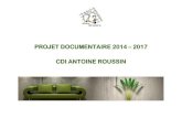 PROJET DOCUMENTAIRE 2014 2017 CDI ANTOINE ROUSSIN...réaménagement du CDI Antoine Roussin / Dossier : « Perspectives Mars 2005 ») ; à contrario, (après plusieurs compte-rendu