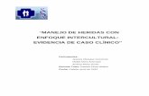 MANEJO DE HERIDAS CON ENFOQUE INTERCULTURAL HRFGbuenaspracticasaps.cl/wp-content/uploads/2013/10/... · biopolímeros (Revista chilena de Heridas y ostomías, volumen 2, 2011). Es
