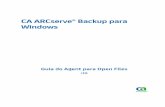 CA ARCserve® Backup para Windowsdocumentation.arcserve.com/Arcserve-Backup/...do aplicativo que o abri e todos os outros — até mesmo os programas de backup, que só precisam ler
