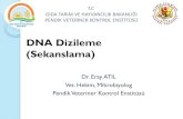 DNA Dizileme (Sekanslama) · DNA Dizileme Metotları 5 -Metodun Prensibi - Enzimatik bir metod - ddNTP lerin rastgele DNA zincirine bağlanmasına dayalıdır. - DNA polimeraz ve