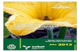 INFORMACIÓN TÉCNICA - AgroCabildo · 2013-08-14 · POLINIZACIÓN MANUAL EN CALABAZAS Y BUBANGOS INFORMACIÓN TÉCNICA POLINIZACIÓN DE CALABAZAS Y BUBANGOS La polinización de