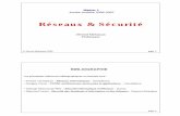Réseaux & Sécuritéhelios.mi.parisdescartes.fr/~mea/cours/M1/M1.1.pdf · 2006-11-15 · Les réseaux de communicationspeuvent être classés en fonction du type d’informations