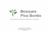 Bosques Pico Bonito - Forest Trends...Pico Bonito Sociedad de Responsabilidad Limitada. Compensación y PSA para Comunidades en Centroamérica 9-13/8/2010 2 ... 150 Puestos de trabajo