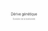 Dérive génétique - Sciences de la vie et de la Terresvt.ac-creteil.fr/IMG/pdf/evolution_de_la_biodiver... · génétique sur l’île de la Réunion sans doute la conséquence