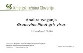 Analiza tveganja Grapevine Pinot gris virus · Analiza tveganja Grapevine Pinot gris virus Delavnica: Priprava analize tveganja in poročanje ob najdbah škodljivih organizmov rastlin