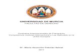 UNIVERSIDAD DE MURCIA · 3 UNIVERSIDAD DE MURCIA FACULTAD DE DERECHO DEPARTAMENTO DE DERECHO FINANCIERO, INTERNACIONAL Y PROCESAL Contratos Internacionales de Franquicia:
