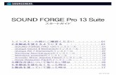 SOUND FORGE Pro 13 Suitea1763.g.akamai.net/f/1763/9658/10m/ftp.sourcenext.co.jp/...1） SOUND FORGE PRO 13 のイ ンストール 2） インターネット による シリアル