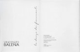 :::VINCENZO BALENA::: · Here della Sera, 27 aprile 1990), Giorgio Seveso (L'Unità, 27 apt-ile 1990). Balena espone, per la stessa galleria, all'lnternational Kunstmesse Forum 1990