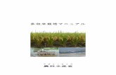 多収米栽培マニュアル - maff.go.jp...表1多収米品種の特性一覧 品種名 育成年 育成地 栽培適地 早晩性 出穂期 成熟期 稈長 （cm） 穂長 （cm）