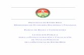 PROVINCIA DE ENTRE RÍOS · 2018-02-28 · PLIEGO DE BASES Y CONDICIONES - LICITACIÓN PÚBLICA ESTRUCTURACIÓN Y COLOCACIÓN DE TÍTULOS PÚBLICOS CONFORME LO ESTABLECIDO EN LOS