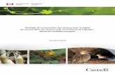 Stratégie de conservation des oiseaux pour la région de ...nabci.net/wp-content/uploads/RCO-3-TNL-FINALE-Oct-2013.pdf · Ces stratégies intégrées de conservation de tous les