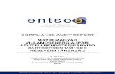 COMPLIANCE AUDIT REPORT · COMPLIANCE AUDIT REPORT 8. - 9.11.2011 The present Compliance Audit Report is based on the information as provided by the audited company. This report is