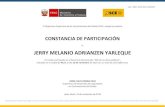 A: JERRY MELANIO ADRIANZEN YARLEQUE · 2019-11-20 · El Organismo Supervisor de las Contrataciones del Estado-OSCE, otorga la presente CONSTANCIA DE PARTICIPACIÓN A: JERRY MELANIO