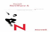 Guide de présentation et d’installation de NetWare 6 · 2001-10-01 · 10 Guide de présentation et d’installation de NetWare 6 Commentaires des utilisateurs Vos commentaires