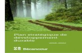 Plan stratégique de développement durablevaleurcollective.net/content/file/plan-strat--gique... · 2018-12-18 · Le plan stratégique propose une vision commune et des enjeux stratégiques