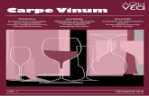 Carpe Vinum±θηΝΕΑ-Carpe-Vinu… · Η µέση παραγωγή ανά στρέµµα ίσα που αγγίζει τα 200-300 κιλά,µε τη συνολική παραγωγή