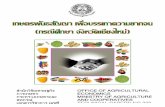 OFFICE OF AGRICULTURAL MINISTRY OF AGRICULTURE€¦ · office of agricultural economics ministry of agriculture and cooperatives technical papers no 309. คณะผู จัําเอกสารดท