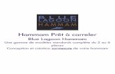 Blue Lagoon Hammam - Planete SPA · 2017-06-27 · Blue Lagoon Hammam Une gamme de modèles standards complète du 2 au 6 places ... augmente l’activité cardiovasculaire qui à