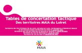 Des territoires MAIA du Loiret · Tables de concertation tactique Des territoires MAIA du Loiret Territoires des Clic d’Orléans Val de Loire, de Sully sur Loire, de Beaugency,